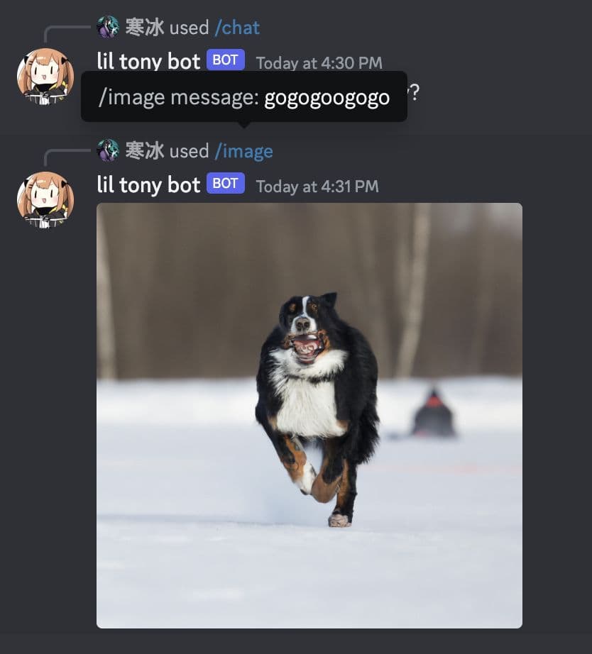 Screenshot of Discord Bot on AWS Lambda project